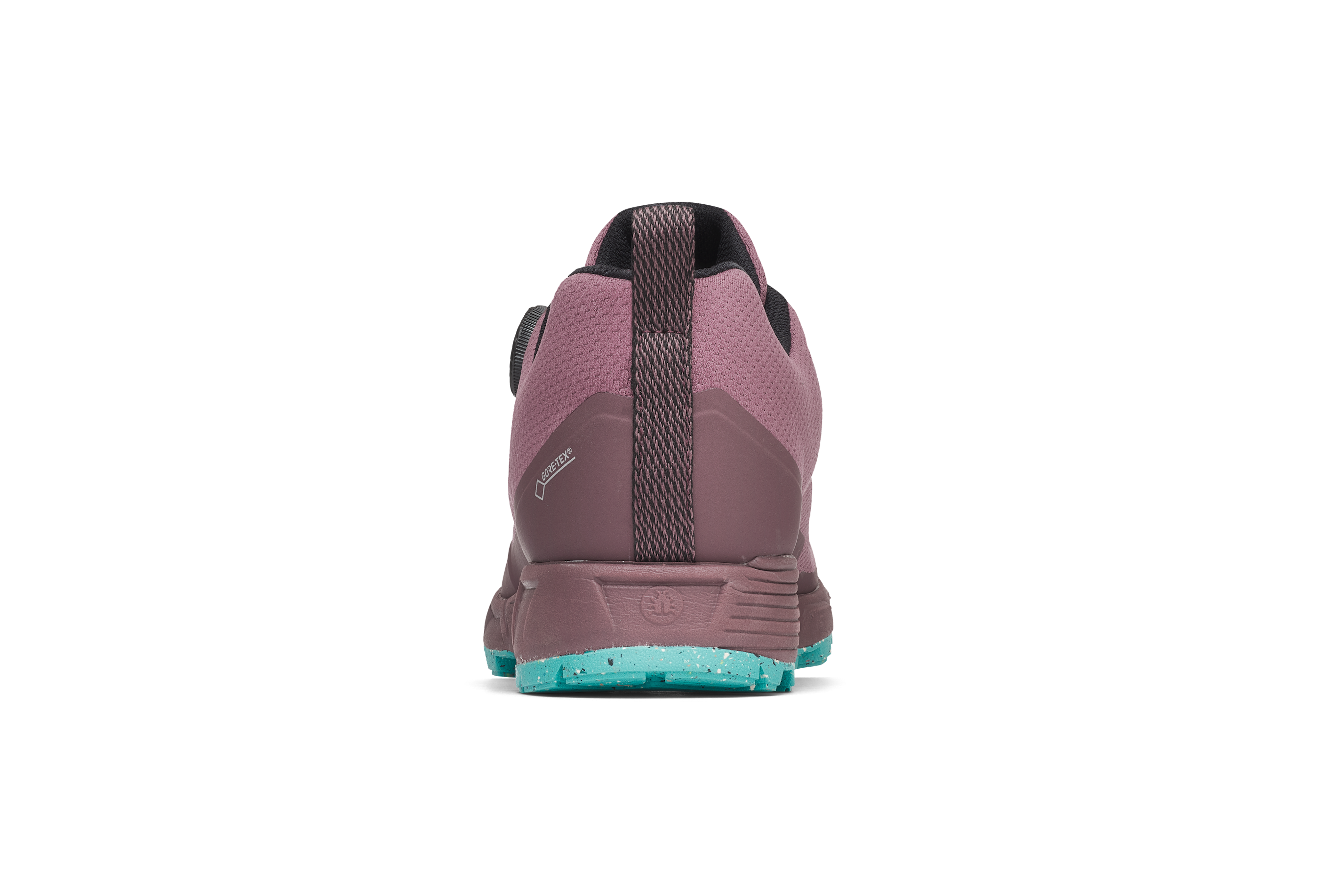 Rover Women's RB9X GTX - DustPlum/Mint
