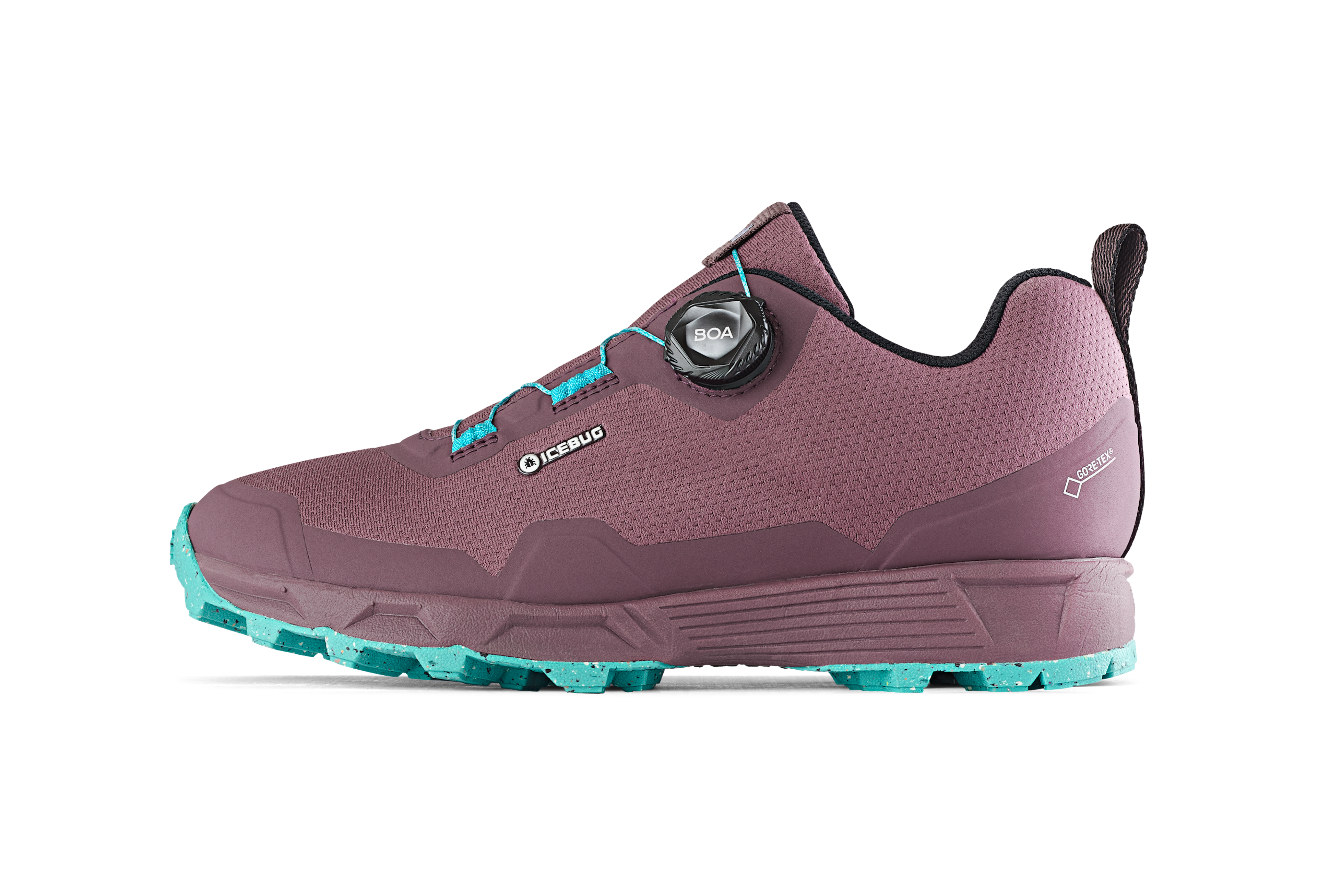 Rover Women's RB9X GTX - DustPlum/Mint