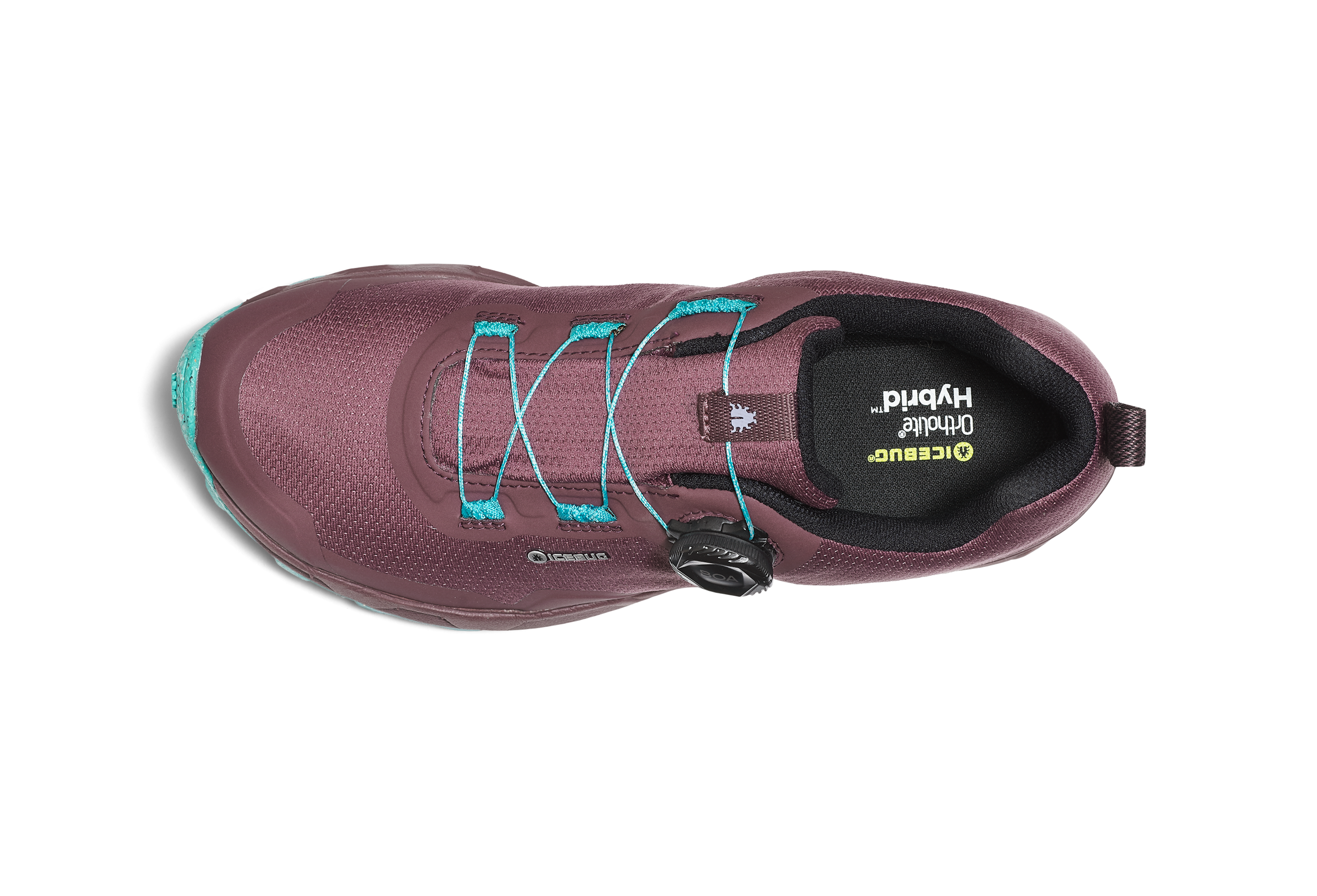 Rover Women's RB9X GTX - DustPlum/Mint